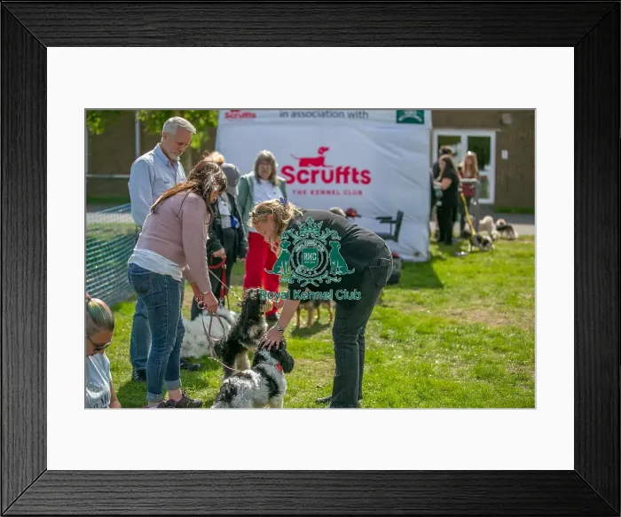 Framed Print : Sponsor Name James Wellbeloved Sunday 15th September 2024 Framed Print : Sponsor Name James Wellbeloved Sunday 15th September 2024