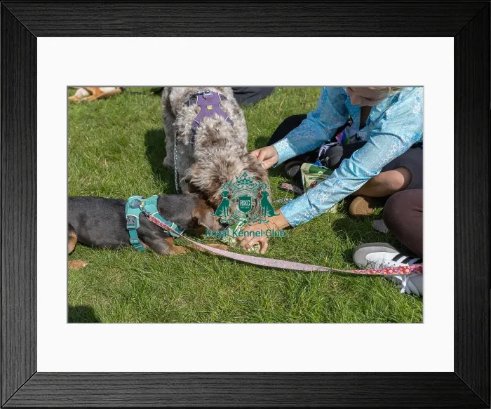 Framed Print : Sponsor Name James Wellbeloved Sunday 15th September 2024 Framed Print : Sponsor Name James Wellbeloved Sunday 15th September 2024