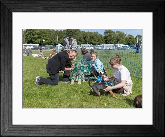 Framed Print : Sunday 15th September 2024 Detling Showground Framed Print : Sunday 15th September 2024 Detling Showground