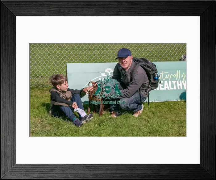 Framed Print : Sponsor Name James Wellbeloved, Sunday 15th September 2024, Kennel Club Logo / Branding, Kent, General Ring Pictures, Scruffts Family Crossbreed Of The Year Competition, Crossbreed Competition, Detling Showground