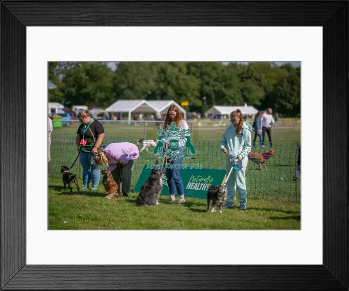 Framed Print : Sponsor Name James Wellbeloved, Sunday 15th September 2024, Kennel Club Logo / Branding, Kent, General Ring Pictures, Scruffts Family Crossbreed Of The Year Competition, Crossbreed Competition, Detling Showground Framed Print : Sponsor Name James Wellbeloved, Sunday 15th September 2024, Kennel Club Logo / Branding, Kent, General Ring Pictures, Scruffts Family Crossbreed Of The Year Competition, Crossbreed Competition, Detling Showground