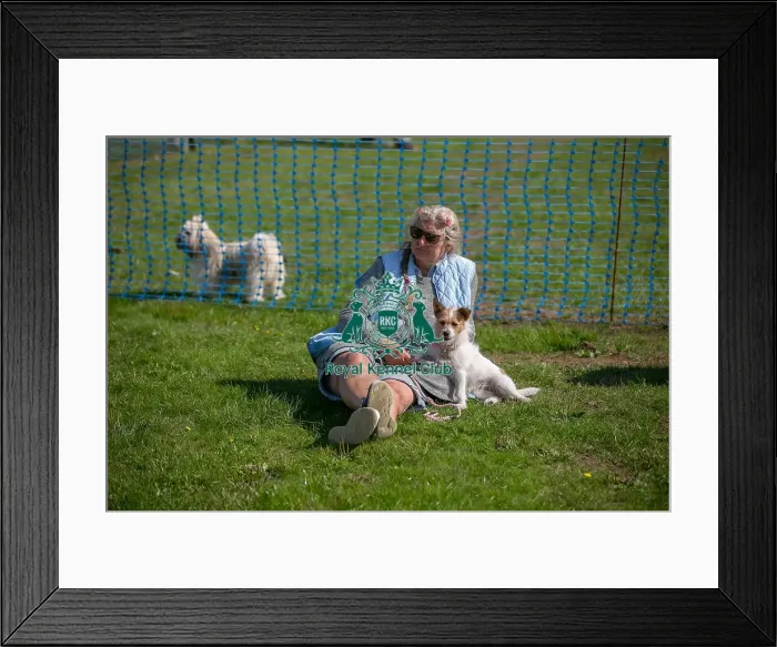 Framed Print : Sunday 15th September 2024, Kent, General Ring Pictures, Scruffts Family Crossbreed Of The Year Competition, Crossbreed Competition, Detling Showground Framed Print : Sunday 15th September 2024, Kent, General Ring Pictures, Scruffts Family Crossbreed Of The Year Competition, Crossbreed Competition, Detling Showground