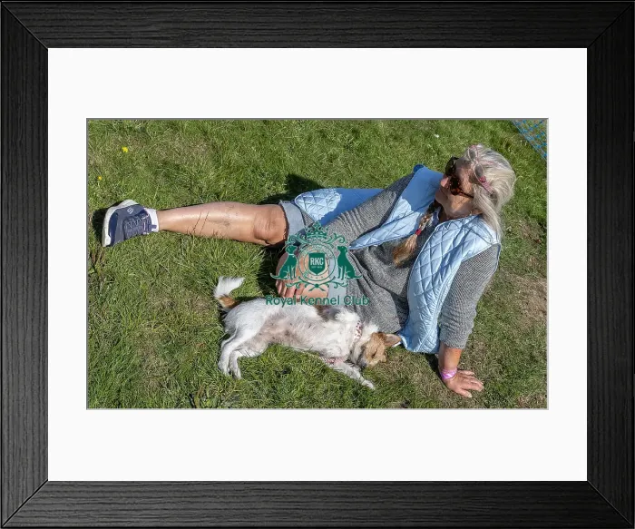 Framed Print : Sunday 15th September 2024, Kent, General Ring Pictures, Scruffts Family Crossbreed Of The Year Competition, Crossbreed Competition, Detling Showground Framed Print : Sunday 15th September 2024, Kent, General Ring Pictures, Scruffts Family Crossbreed Of The Year Competition, Crossbreed Competition, Detling Showground