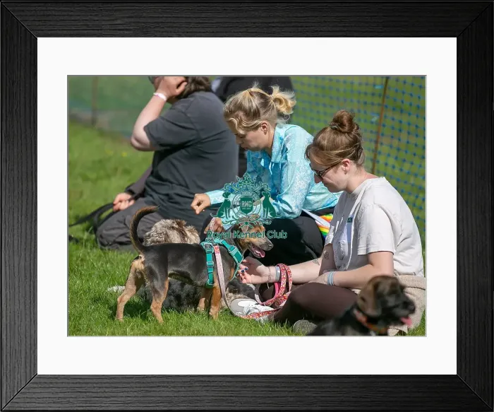 Framed Print : Sunday 15th September 2024 Kent General Ring Pictures Framed Print : Sunday 15th September 2024 Kent General Ring Pictures