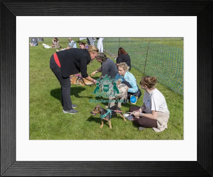 Framed Print : Sunday 15th September 2024 Detling Showground Framed Print : Sunday 15th September 2024 Detling Showground