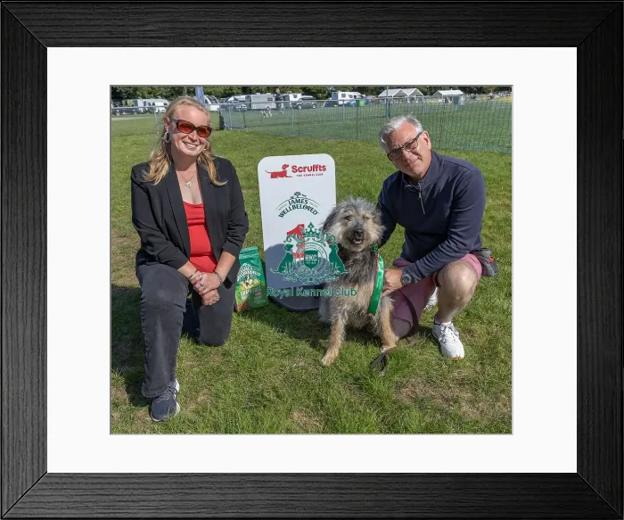 Framed Print : First Placed, Sunday 15th September 2024, Kennel Club Logo / Branding, Scruffts Family Crossbreed Of The Year Competition, Dog Name: Arthur, Sponsor Name Framed Print : First Placed, Sunday 15th September 2024, Kennel Club Logo / Branding, Scruffts Family Crossbreed Of The Year Competition, Dog Name: Arthur, Sponsor Name