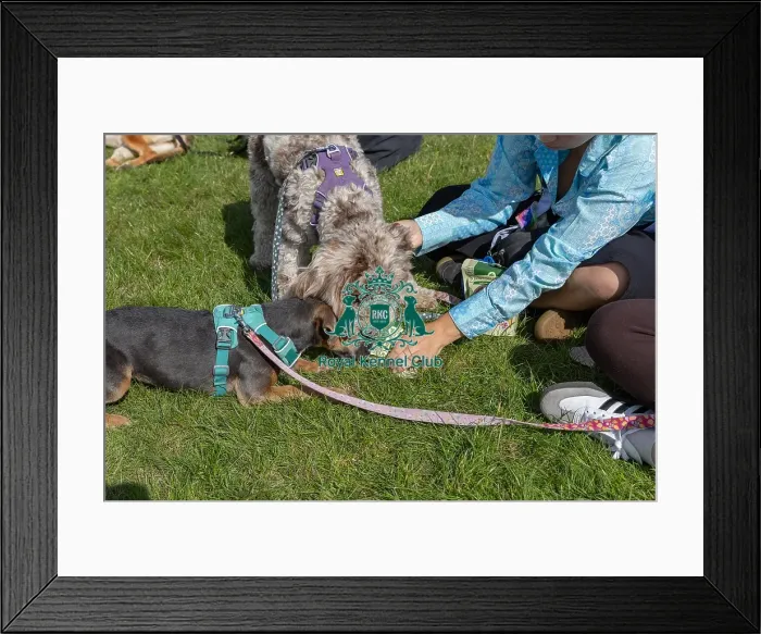 Framed Print : Sponsor Name James Wellbeloved Sunday 15th September 2024 Framed Print : Sponsor Name James Wellbeloved Sunday 15th September 2024