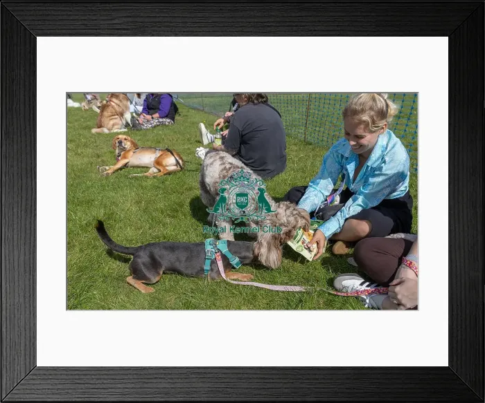 Framed Print : Sponsor Name James Wellbeloved Sunday 15th September 2024 Framed Print : Sponsor Name James Wellbeloved Sunday 15th September 2024