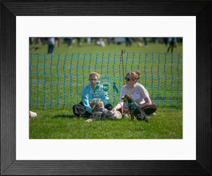 Framed Print : Sponsor Name James Wellbeloved, Sunday 15th September 2024, Kennel Club Logo / Branding, Kent, General Ring Pictures, Scruffts Family Crossbreed Of The Year Competition, Crossbreed Competition, Detling Showground Framed Print : Sponsor Name James Wellbeloved, Sunday 15th September 2024, Kennel Club Logo / Branding, Kent, General Ring Pictures, Scruffts Family Crossbreed Of The Year Competition, Crossbreed Competition, Detling Showground