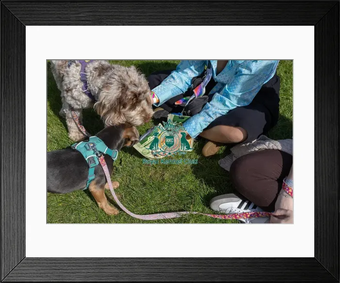 Framed Print : Sponsor Name James Wellbeloved Sunday 15th September 2024 Framed Print : Sponsor Name James Wellbeloved Sunday 15th September 2024