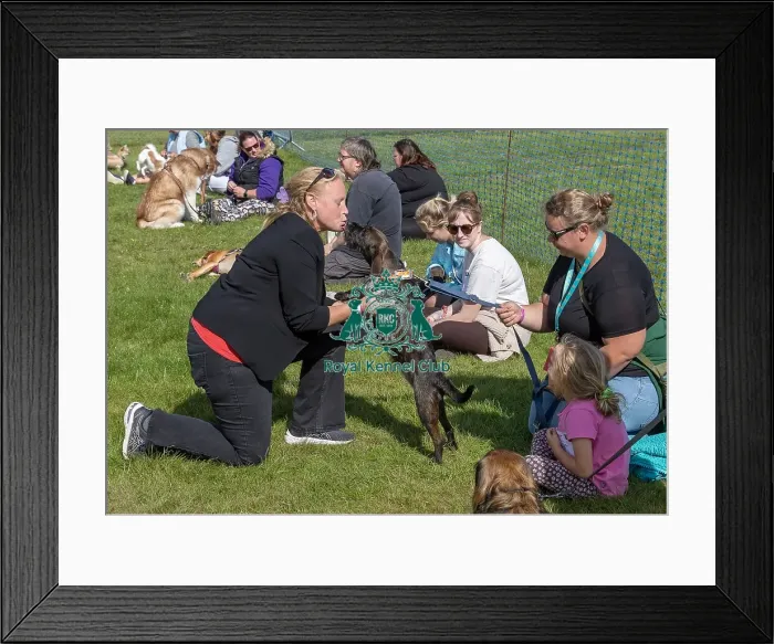Framed Print : Sunday 15th September 2024 Detling Showground Framed Print : Sunday 15th September 2024 Detling Showground