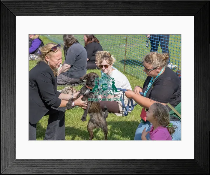 Framed Print : Sunday 15th September 2024 Detling Showground Framed Print : Sunday 15th September 2024 Detling Showground