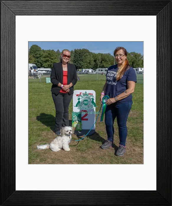 Framed Print : Dog Name: Lincoln Kennel Club Logo / Branding Detling Showground Framed Print : Dog Name: Lincoln Kennel Club Logo / Branding Detling Showground