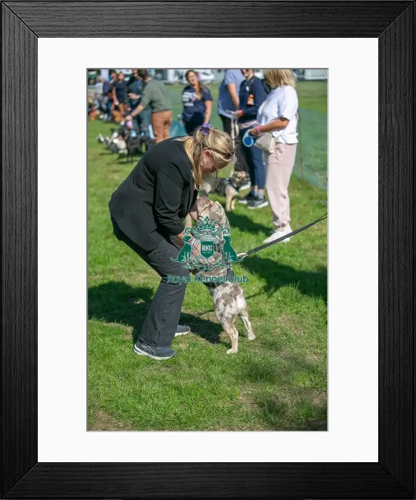 Framed Print : Sunday 15th September 2024 Detling Showground Framed Print : Sunday 15th September 2024 Detling Showground