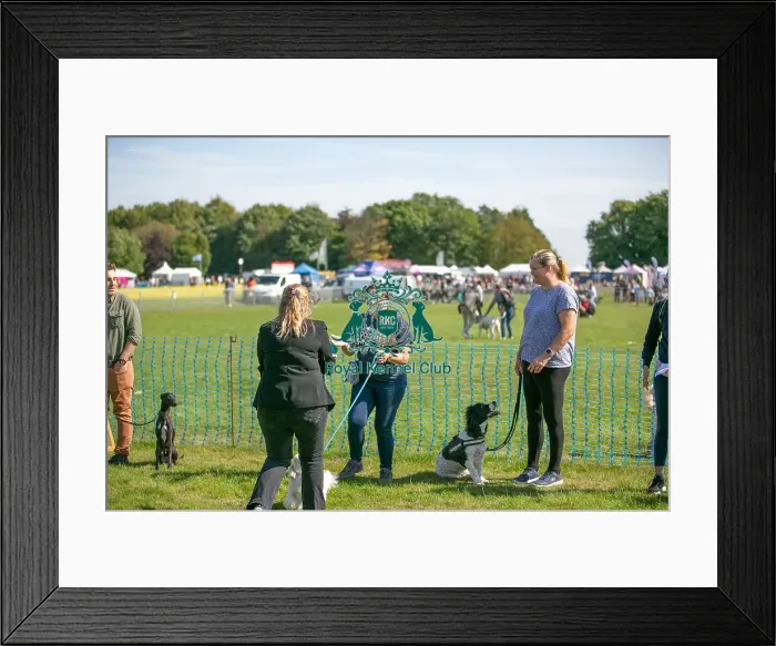 Framed Print : Sunday 15th September 2024 Detling Showground Framed Print : Sunday 15th September 2024 Detling Showground