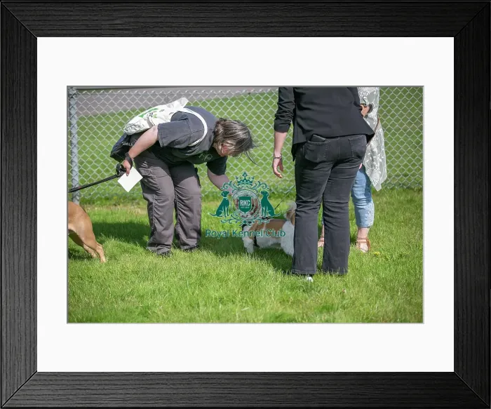 Framed Print : Sunday 15th September 2024 Detling Showground Framed Print : Sunday 15th September 2024 Detling Showground