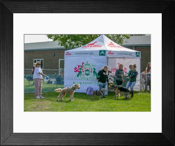 Framed Print : Sponsor Name James Wellbeloved Sunday 15th September 2024 Framed Print : Sponsor Name James Wellbeloved Sunday 15th September 2024