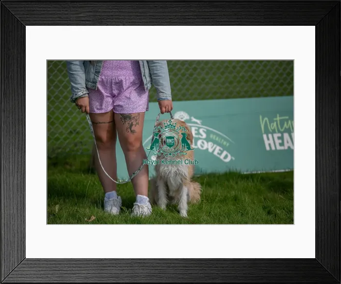Framed Print : Sponsor Name James Wellbeloved Sunday 15th September 2024 Framed Print : Sponsor Name James Wellbeloved Sunday 15th September 2024