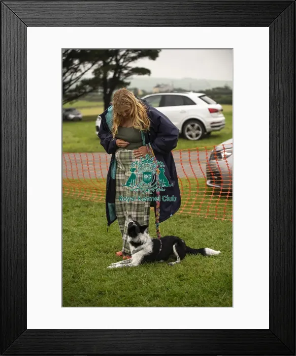 Framed Print : Scruffts Family Crossbreed of the Year competition All About Dogs Cornwall Framed Print : Scruffts Family Crossbreed of the Year competition All About Dogs Cornwall