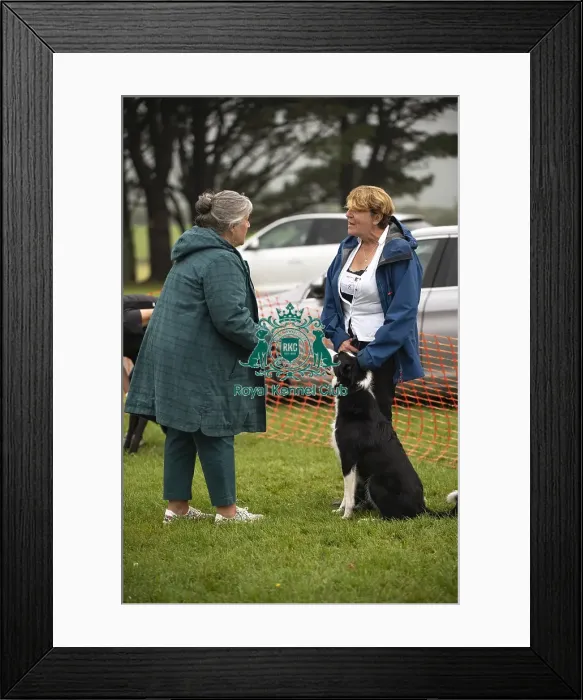 Framed Print : Scruffts Family Crossbreed of the Year competition All About Dogs Cornwall 22 / 09 / 24 Framed Print : Scruffts Family Crossbreed of the Year competition All About Dogs Cornwall 22 / 09 / 24