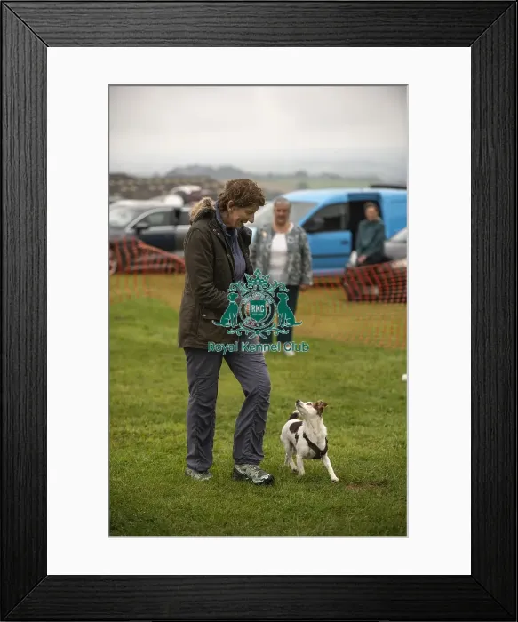 Framed Print : 22 / 09 / 24 Cornwall Good Citizen Dog Scheme Scruffts Framed Print : 22 / 09 / 24 Cornwall Good Citizen Dog Scheme Scruffts