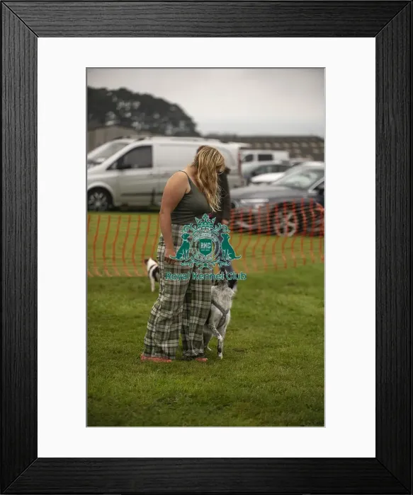 Framed Print : Scruffts Family Crossbreed of the Year competition All About Dogs Cornwall Framed Print : Scruffts Family Crossbreed of the Year competition All About Dogs Cornwall