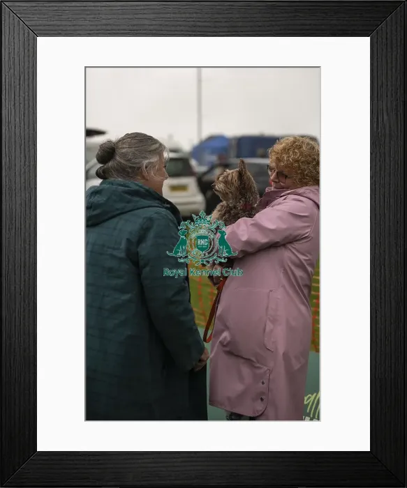 Framed Print : Scruffts Family Crossbreed of the Year competition All About Dogs Cornwall Framed Print : Scruffts Family Crossbreed of the Year competition All About Dogs Cornwall