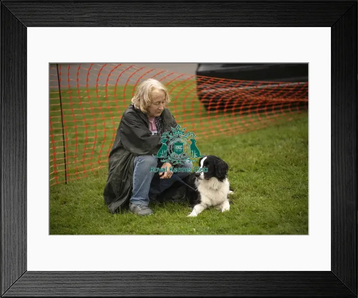 Framed Print : Scruffts Family Crossbreed of the Year competition All About Dogs Cornwall Framed Print : Scruffts Family Crossbreed of the Year competition All About Dogs Cornwall