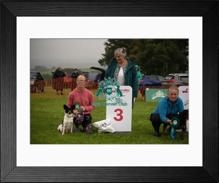 Framed Print : Winners_at_Scruffts_All_About_Dogs_Cornwall