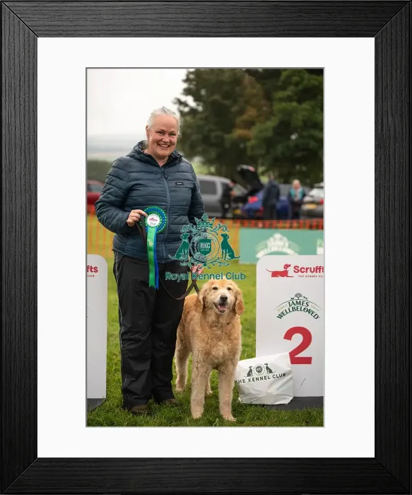 Framed Print : Winners_at_Scruffts_All_About_Dogs_Cornwall Framed Print : Winners_at_Scruffts_All_About_Dogs_Cornwall