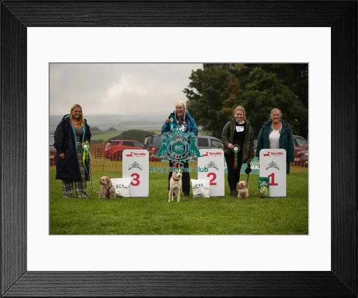 Framed Print : Winners_at_Scruffts_All_About_Dogs_Cornwall