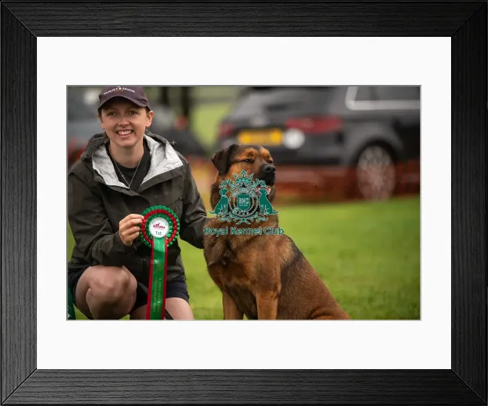Framed Print : Winners_at_Scruffts_All_About_Dogs_Cornwall Framed Print : Winners_at_Scruffts_All_About_Dogs_Cornwall