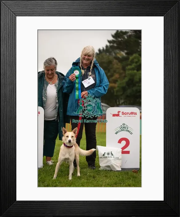 Framed Print : Winners_at_Scruffts_All_About_Dogs_Cornwall
