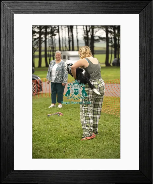 Framed Print : Scruffts Family Crossbreed of the Year competition All About Dogs Cornwall Framed Print : Scruffts Family Crossbreed of the Year competition All About Dogs Cornwall