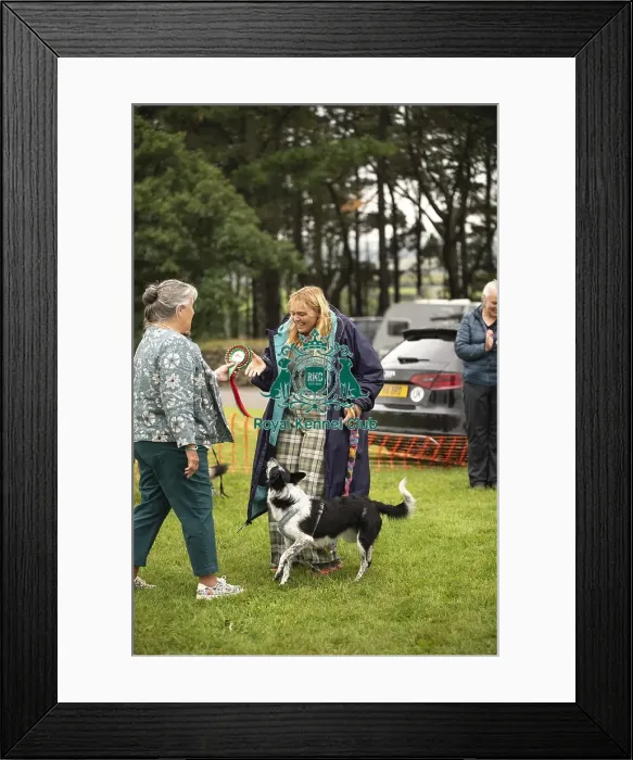 Framed Print : Scruffts Family Crossbreed of the Year competition All About Dogs Cornwall Framed Print : Scruffts Family Crossbreed of the Year competition All About Dogs Cornwall