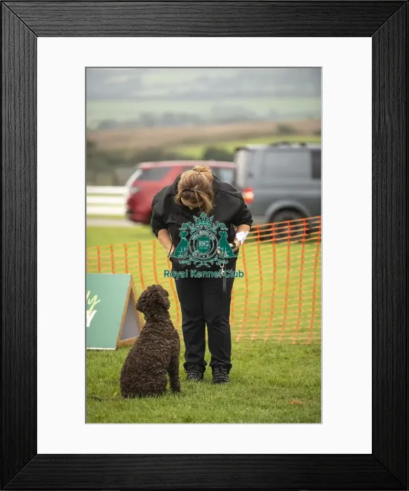 Framed Print : 22 / 09 / 24 Cornwall Good Citizen Dog Scheme Scruffts Framed Print : 22 / 09 / 24 Cornwall Good Citizen Dog Scheme Scruffts