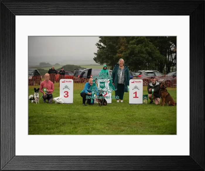 Framed Print : Winners_at_Scruffts_All_About_Dogs_Cornwall Framed Print : Winners_at_Scruffts_All_About_Dogs_Cornwall