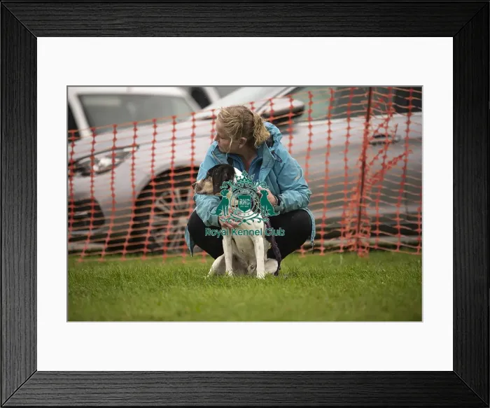 Framed Print : Scruffts Family Crossbreed of the Year competition All About Dogs Cornwall Framed Print : Scruffts Family Crossbreed of the Year competition All About Dogs Cornwall