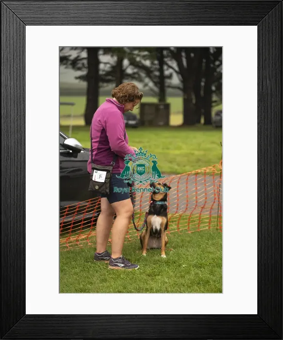 Framed Print : Scruffts Family Crossbreed of the Year competition All About Dogs Cornwall Framed Print : Scruffts Family Crossbreed of the Year competition All About Dogs Cornwall