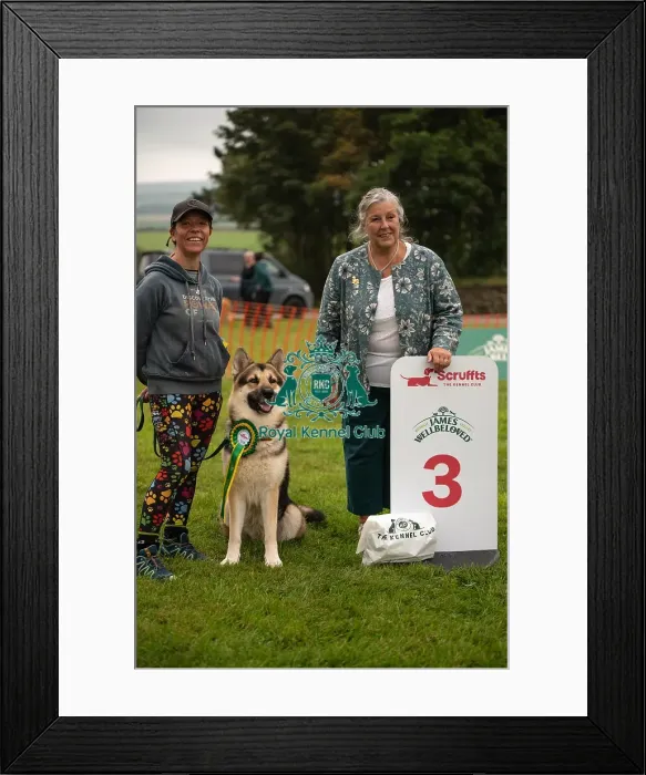 Framed Print : Winners_at_Scruffts_All_About_Dogs_Cornwall