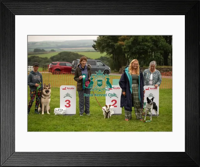 Framed Print : Winners_at_Scruffts_All_About_Dogs_Cornwall
