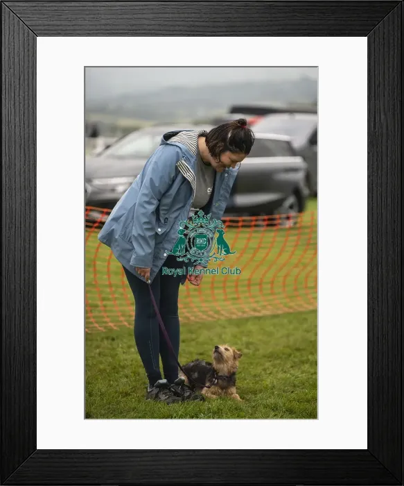 Framed Print : 22 / 09 / 24 Cornwall Good Citizen Dog Scheme Scruffts