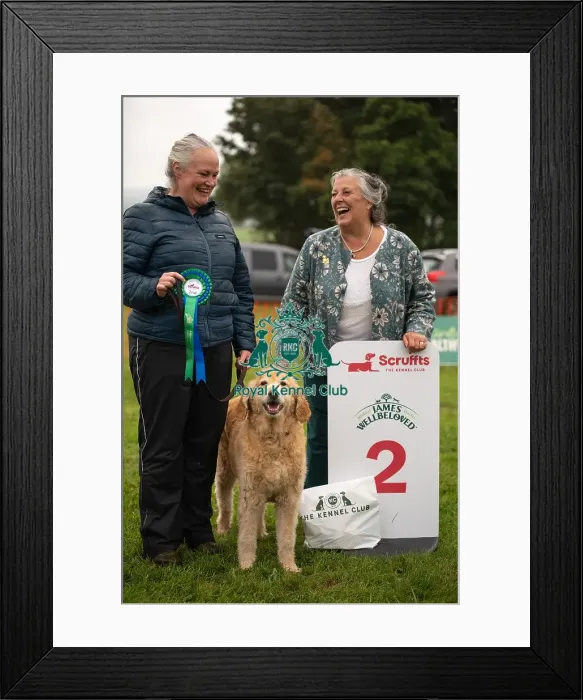 Framed Print : Winners_at_Scruffts_All_About_Dogs_Cornwall Framed Print : Winners_at_Scruffts_All_About_Dogs_Cornwall