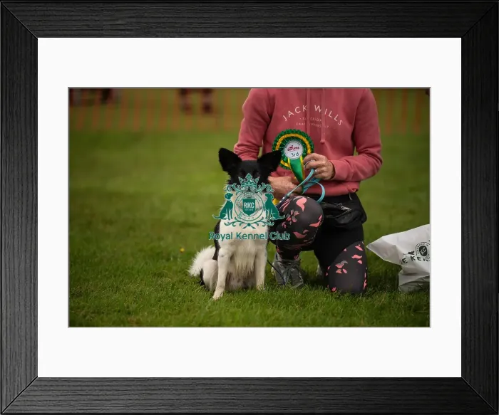 Framed Print : Winners_at_Scruffts_All_About_Dogs_Cornwall