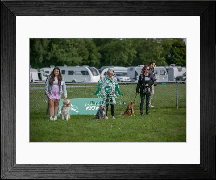 Framed Print : Sponsor Name James Wellbeloved Sunday 15th September 2024 Framed Print : Sponsor Name James Wellbeloved Sunday 15th September 2024