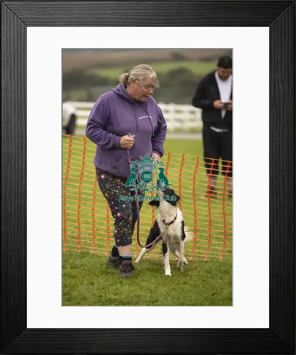 Framed Print : Scruffts Family Crossbreed of the Year competition All About Dogs Cornwall Framed Print : Scruffts Family Crossbreed of the Year competition All About Dogs Cornwall