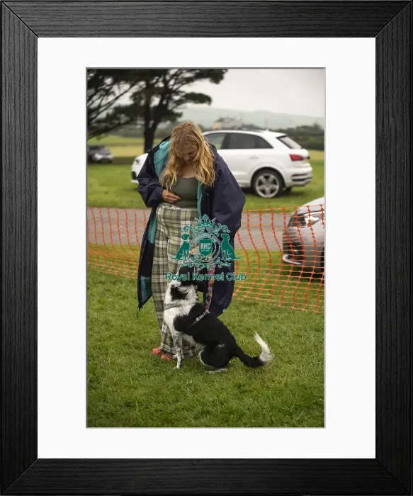 Framed Print : Scruffts Family Crossbreed of the Year competition All About Dogs Cornwall Framed Print : Scruffts Family Crossbreed of the Year competition All About Dogs Cornwall