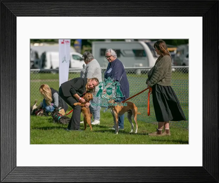 Framed Print : Sponsor Name James Wellbeloved Sunday 15th September 2024 Framed Print : Sponsor Name James Wellbeloved Sunday 15th September 2024