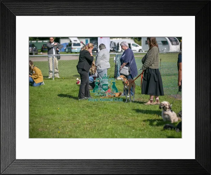 Framed Print : Sponsor Name James Wellbeloved Sunday 15th September 2024 Framed Print : Sponsor Name James Wellbeloved Sunday 15th September 2024