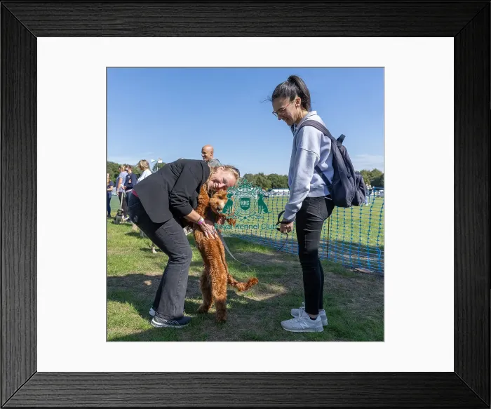 Framed Print : Sunday 15th September 2024 Detling Showground Framed Print : Sunday 15th September 2024 Detling Showground